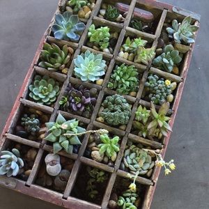 Meet your Posher, Karlee